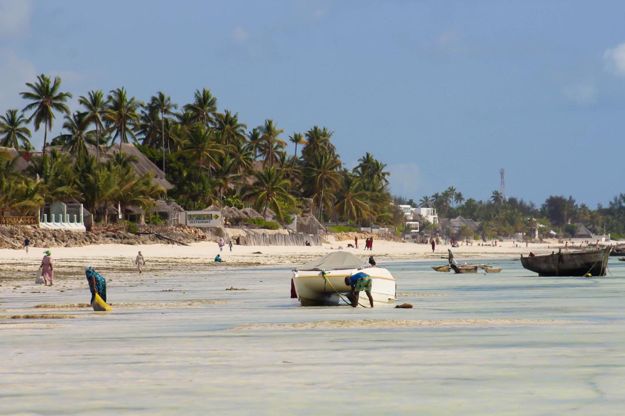 Spacious Dream * Jambiani (Zanzibar)